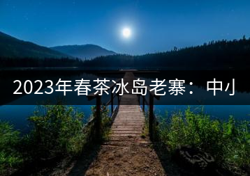 2023年春茶冰島老寨：中小樹混采2500-3000元／公斤，大樹：7000-8000元／公斤，古樹混采：28000-36000元／公斤