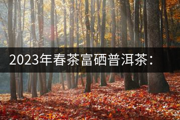 2023年春茶富硒普洱茶：1.富硒有機(jī)手工生普，市場指導(dǎo)價(jià)800元／公斤；2.富硒有機(jī)一級紅茶，市場指導(dǎo)價(jià)800元／公斤；3.富硒有機(jī)熟普餅，市場指導(dǎo)價(jià)1000元／公斤；4.富硒有機(jī)月光白茶，市場指導(dǎo)價(jià)800元／公斤。