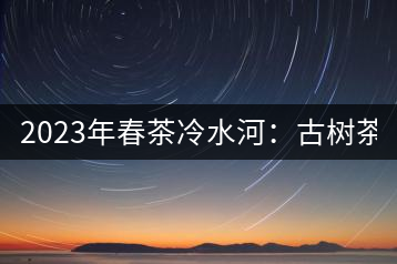 2023年春茶冷水河：古樹(shù)茶6000-6500元／公斤