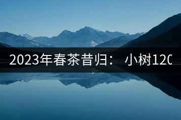 2023年春茶昔歸： 小樹1200-1600元／公斤，大樹4500-5200元／公斤，古樹7500-9000元／公斤.