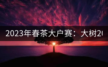 2023年春茶大戶賽：大樹200-300元／公斤，古樹800-1000元／公斤