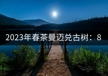2023年春茶曼邁兌古樹：860元／Kg，小樹：180元／kg