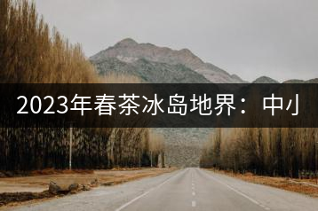 2023年春茶冰島地界：中小樹1300-1500元／公斤，古樹2200~2500元／公斤