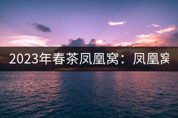 2023年春茶鳳凰窩：鳳凰窩（1號）20000-25000元／公斤；鳳凰窩（2號）2000-3000元／公斤；古樹：3000-5000元／公斤；鳳凰山混采古樹茶1000-2000元／公斤；鳳凰山精選古樹茶3000-5000元／公斤