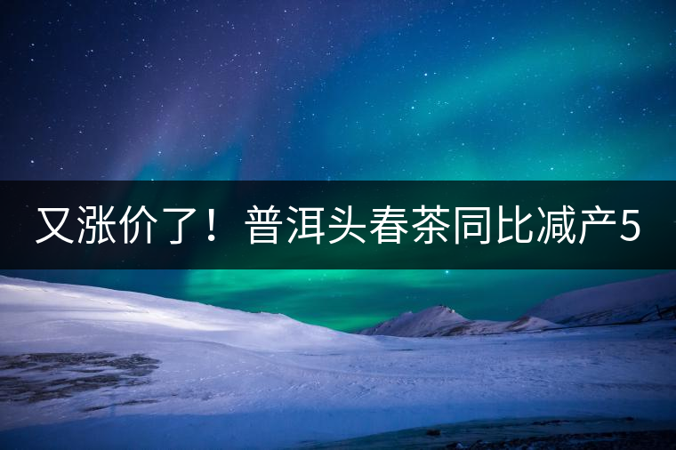 又漲價了！普洱頭春茶同比減產(chǎn)50%，薄荷塘一類鮮葉需當(dāng)面議價