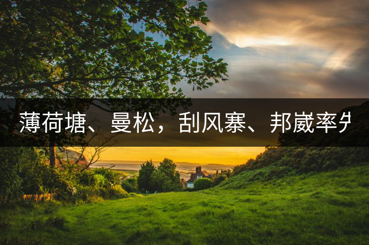 薄荷塘、曼松，刮風(fēng)寨、邦崴率先開(kāi)采，2019普洱春季大戰(zhàn)開(kāi)始了