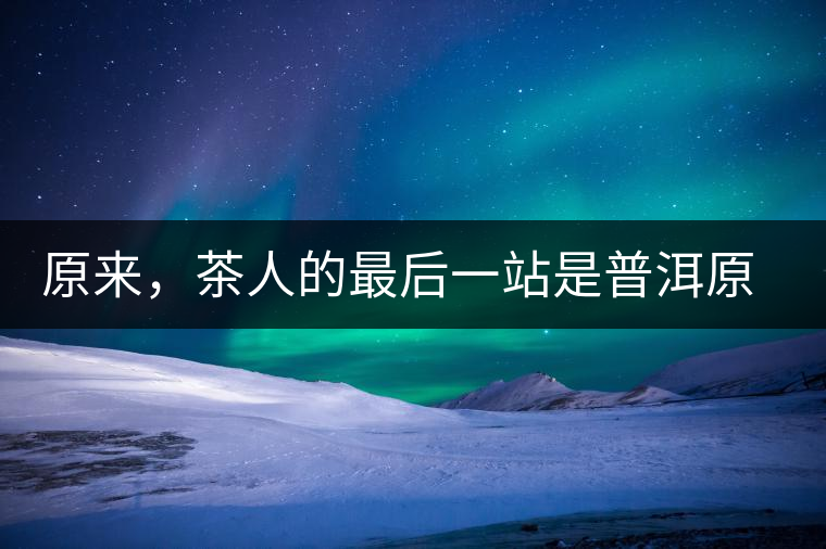 原來，茶人的最后一站是普洱原來，茶人的最后一站是普洱