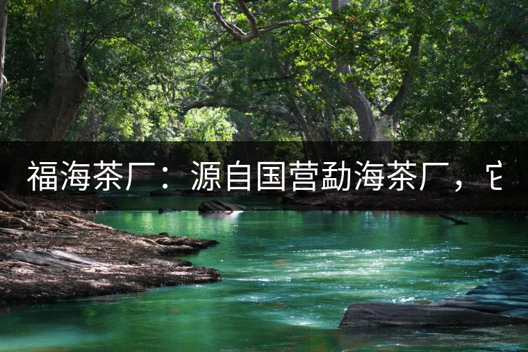 福海茶廠：源自國營勐海茶廠，它是99易武綠星星之母