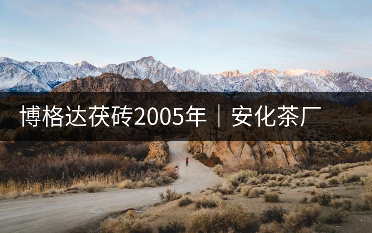 博格達(dá)茯磚2005年｜安化茶廠定制款，金花滿(mǎn)披，梅山韻濃！