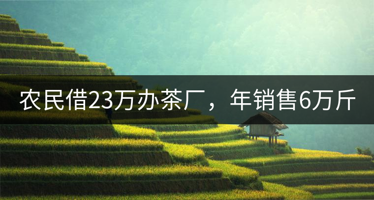 農(nóng)民借23萬辦茶廠，年銷售6萬斤，每天休息僅20分鐘!農(nóng)民借23萬辦茶廠，年銷售6萬斤，每天休息僅20分鐘！