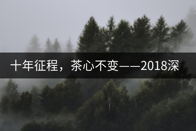十年征程，茶心不變——2018深圳秋季茶博會12月13日隆重開幕！