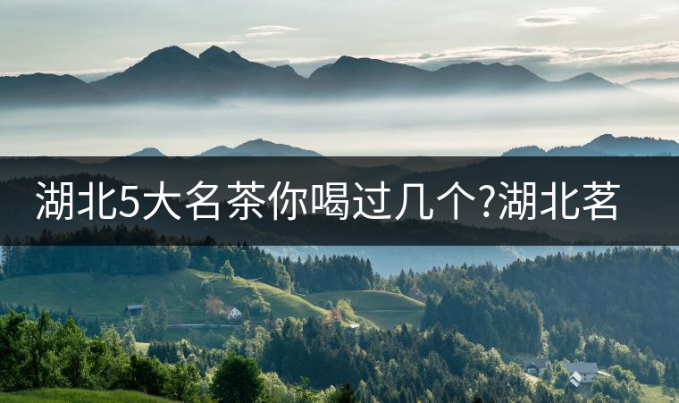 湖北5大名茶你喝過幾個(gè)?湖北茗茶的歷史故事?湖北茶哪...湖北5大名茶你喝過幾個(gè)？湖北茗茶的歷史故事？湖北茶哪個(gè)產(chǎn)地好