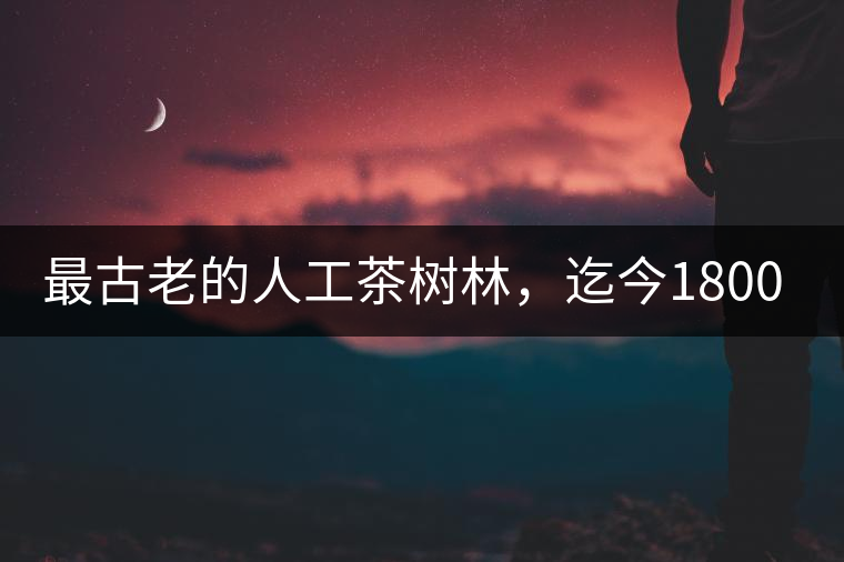 最古老的人工茶樹林，迄今1800年歷史，將申報(bào)世界文...最古老的人工茶樹林，迄今1800年歷史，將申報(bào)世界文化遺產(chǎn)