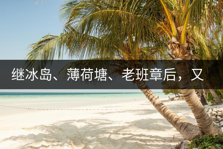 繼冰島、薄荷塘、老班章后，又一個被追捧的山頭茶火了！