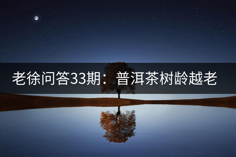 老徐問答33期：普洱茶樹齡越老越貴，那100年樹齡的老班章呢？