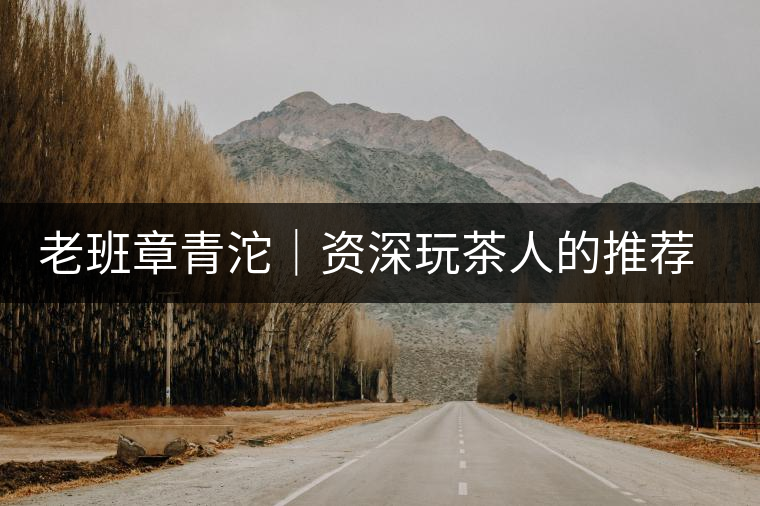 老班章青沱｜資深玩茶人的推薦，老班章專屬的老味道