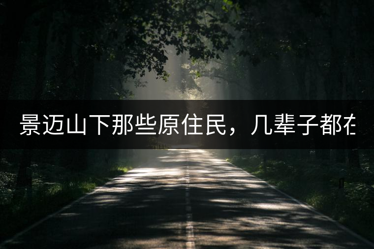 景邁山下那些原住民，幾輩子都在采茶、制茶，才有最...景邁山下那些原住民，幾輩子都在采茶、制茶，才有最好喝的普洱