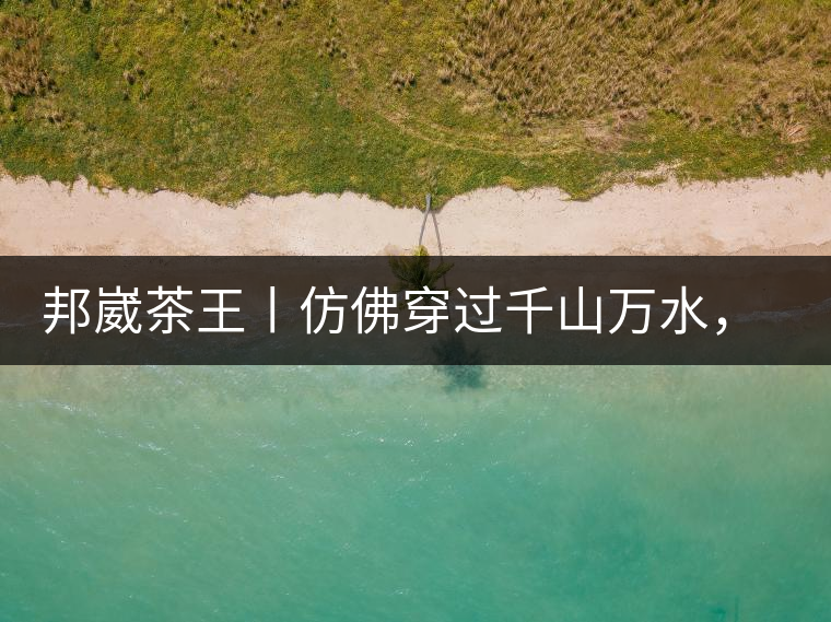 邦崴茶王丨仿佛穿過(guò)千山萬(wàn)水，就是為了它而來(lái)邦崴茶王丨仿佛穿過(guò)千山萬(wàn)水，就是為了它而來(lái)