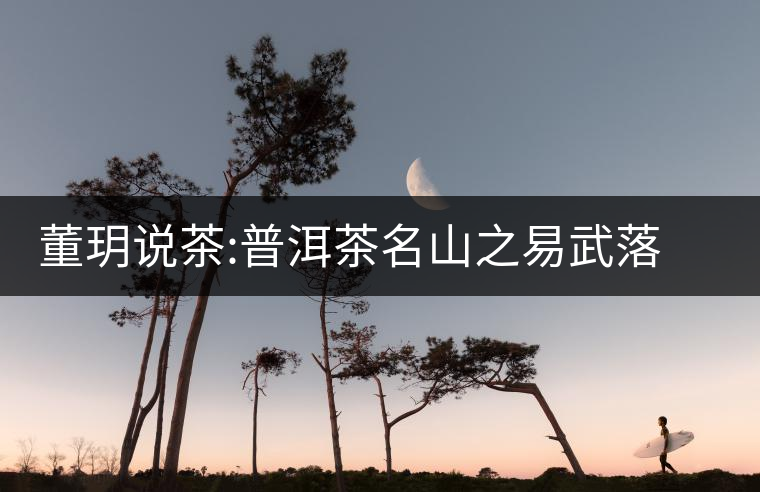 董玥說茶:普洱茶名山之易武落水洞董玥說茶:普洱茶名山之易武落水洞 董玥說茶:普洱茶名山之易武落水洞董玥說茶:普洱茶名山之易武落水洞