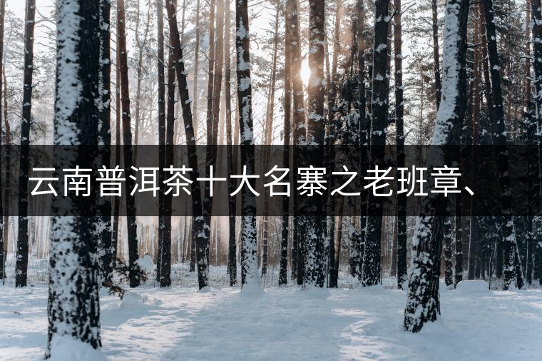 云南普洱茶十大名寨之老班章、那卡、冰島、刮風(fēng)寨、彎弓特點(diǎn)介紹