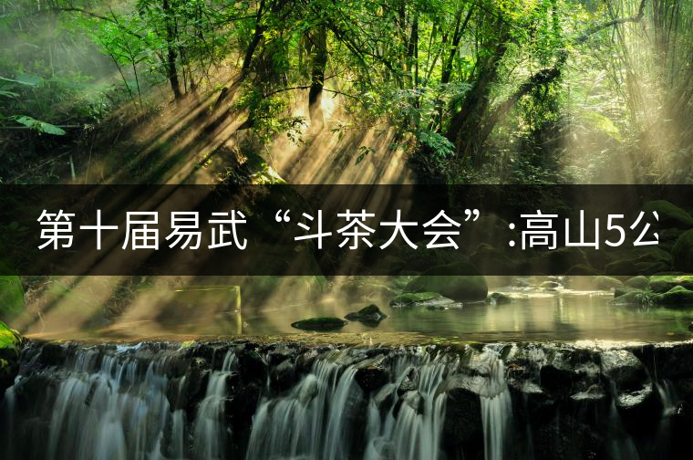 第十屆易武“斗茶大會(huì)”:高山5公斤15萬(wàn)，刮風(fēng)寨5公斤...第十屆易武“斗茶大會(huì)”：高山5公斤15萬(wàn)，刮風(fēng)寨5公斤30萬(wàn)...