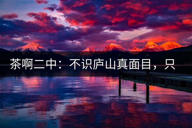 茶啊二中：不識廬山真面目，只識彎弓射大雕，賈淳真搞笑