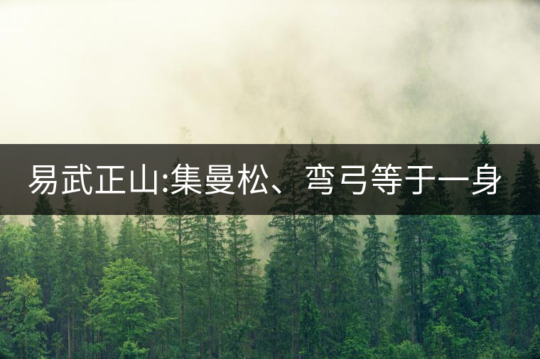 易武正山:集曼松、彎弓等于一身的貴族老黃片，好喝沒(méi)得...易武正山：集曼松、彎弓等于一身的貴族老黃片，好喝沒(méi)得說(shuō)