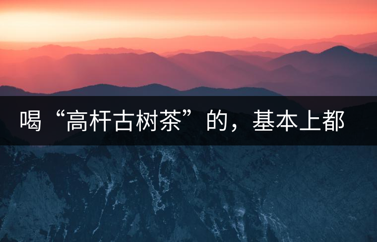 喝“高桿古樹茶”的，基本上都是不懂茶的