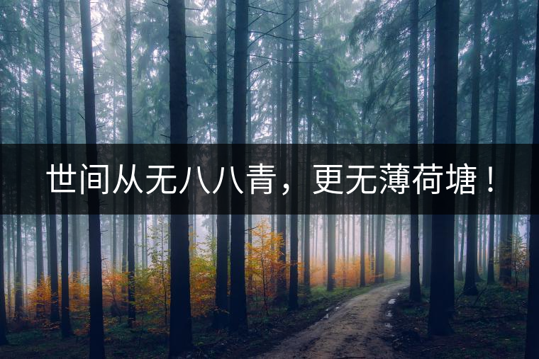 世間從無(wú)八八青，更無(wú)薄荷塘 !