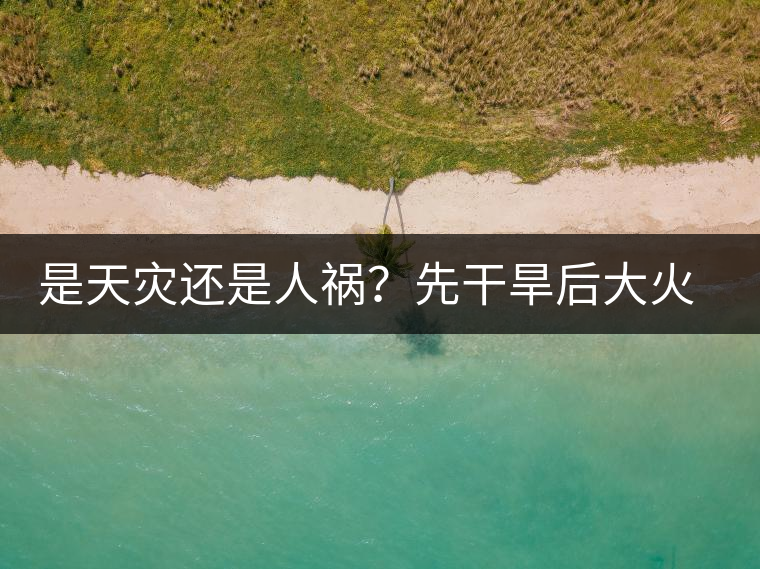 是天災(zāi)還是人禍？先干旱后大火，普洱茶將何去何從？