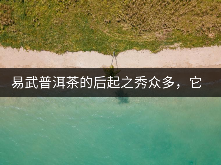 易武普洱茶的后起之秀眾多，它是還沒漲價(jià)的一個(gè)！