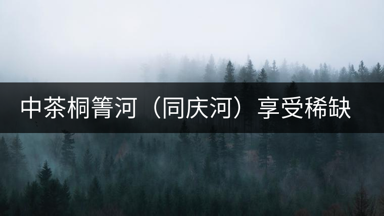 中茶桐箐河(同慶河)享受稀缺的秘境野韻奇香 中茶桐箐河(同慶河)享受稀缺的秘境野韻奇香