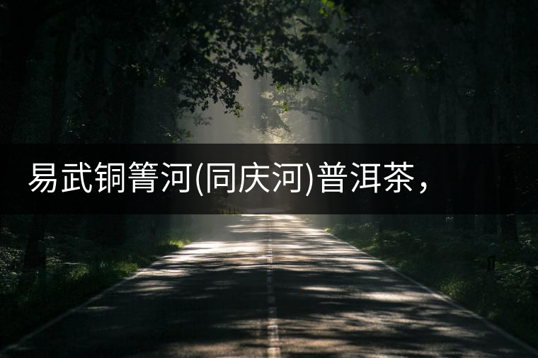 易武銅箐河(同慶河)普洱茶，讓我拜倒的不止它的口感易武銅箐河（同慶河）普洱茶，讓我拜倒的不止它的口感