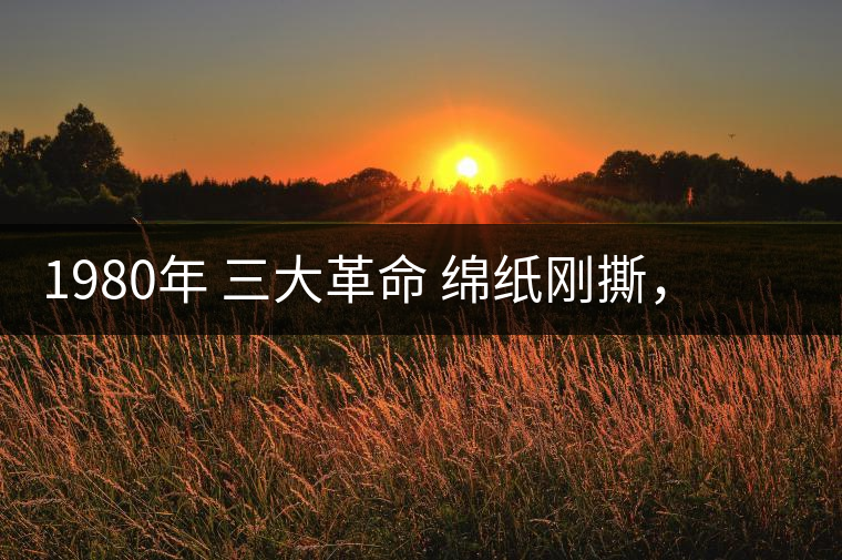 1980年 三大革命 綿紙剛撕，品相極好，整體干凈漂亮1980年 三大革命 綿紙剛撕，品相極好，整體干凈漂亮