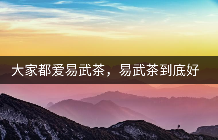 大家都愛(ài)易武茶，易武茶到底好在哪兒?大家都愛(ài)易武茶，易武茶到底好在哪兒？