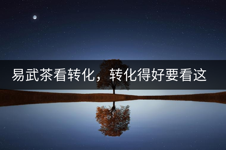 易武茶看轉(zhuǎn)化，轉(zhuǎn)化得好要看這三要素及品牌優(yōu)勢！