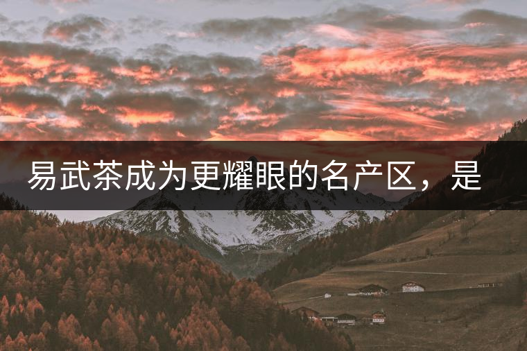 易武茶成為更耀眼的名產(chǎn)區(qū)，是歷史的回歸，是未來市場的必然導(dǎo)向