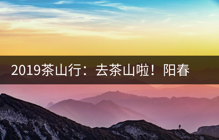 2019茶山行：去茶山啦！陽春三月，和南茗佳人一起上山喝好茶！