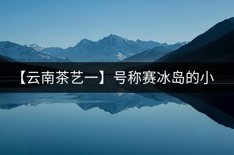 【云南茶藝一】號稱賽冰島的小戶賽憑什么！今天帶大家一起研究下