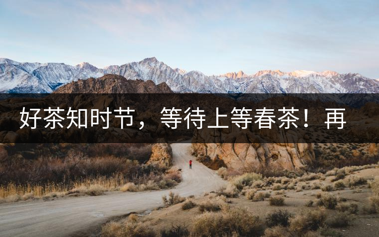 好茶知時節(jié)，等待上等春茶！再來回味這些年喝過的小戶賽古樹春茶