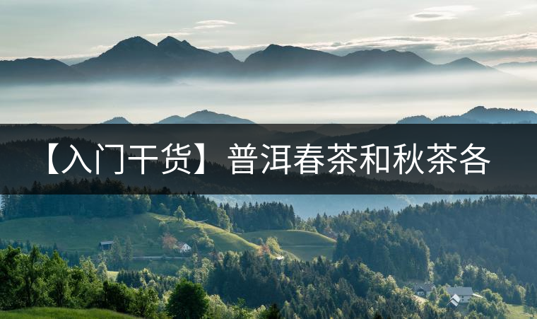 【入門干貨】普洱春茶和秋茶各有什么特點(diǎn)？怎樣辨識(shí)？