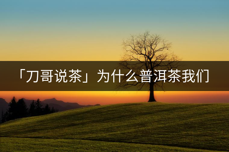 「刀哥說茶」為什么普洱茶我們情愿選三無？