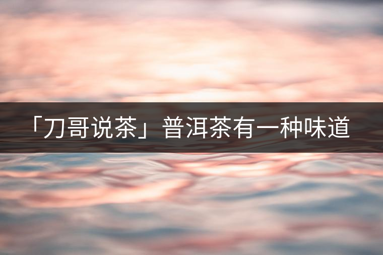 「刀哥說茶」普洱茶有一種味道，只可意會不可言傳