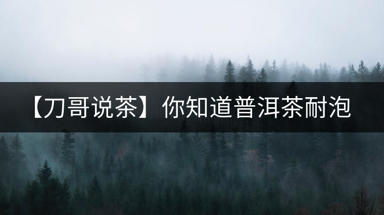 【刀哥說茶】你知道普洱茶耐泡，那你知道哪一類普洱茶比較耐泡？