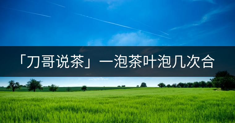 「刀哥說(shuō)茶」一泡茶葉泡幾次合適?「刀哥說(shuō)茶」一泡茶葉泡幾次合適？