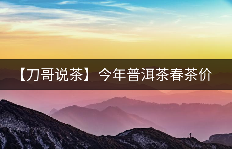 【刀哥說茶】今年普洱茶春茶價格，我不預(yù)測