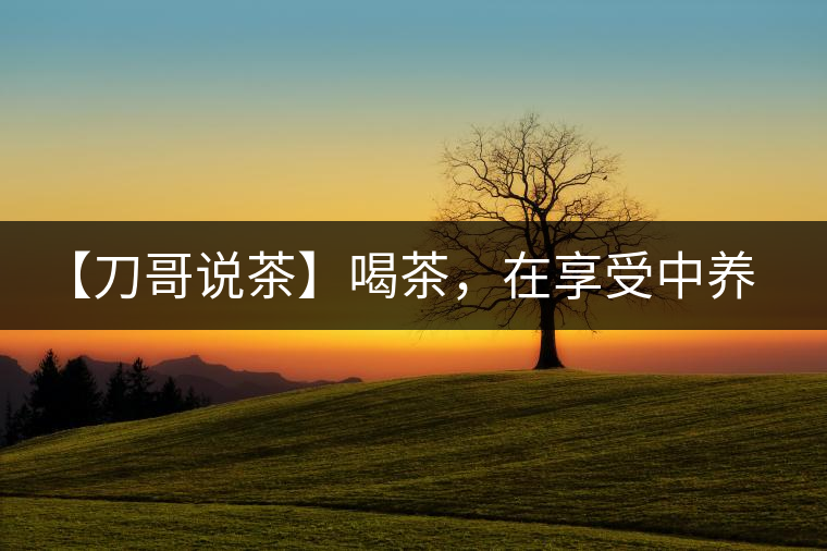 【刀哥說茶】喝茶，在享受中養(yǎng)生的最佳選擇