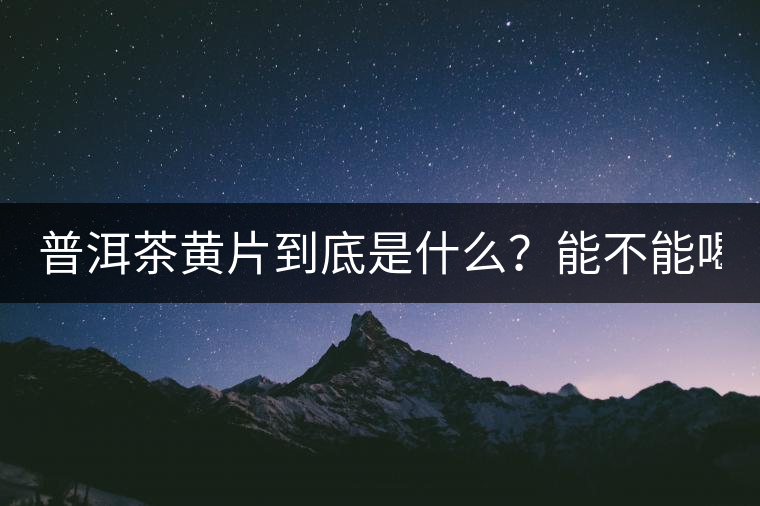 普洱茶黃片到底是什么？能不能喝？