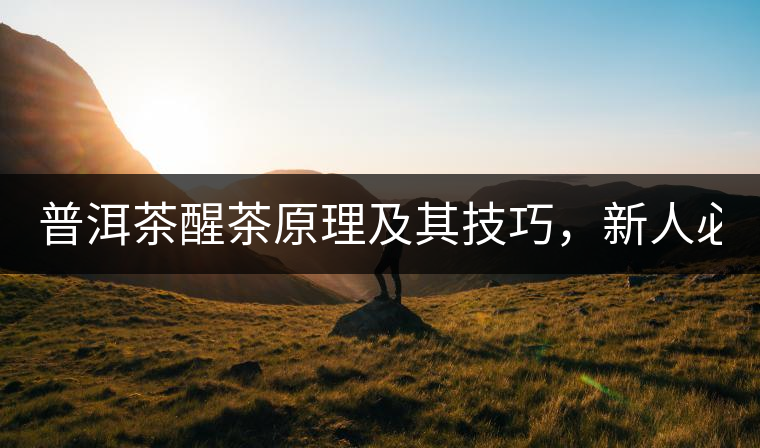 普洱茶醒茶原理及其技巧，新人必備！