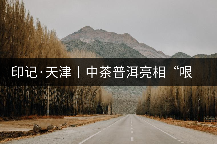 印記·天津丨中茶普洱亮相“哏都”茶博會(huì)